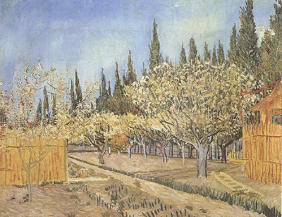 Orchard in Blossom,Bordered by Cypresses (nn04)